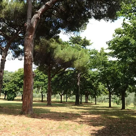 Villa Boldrini b&b-2